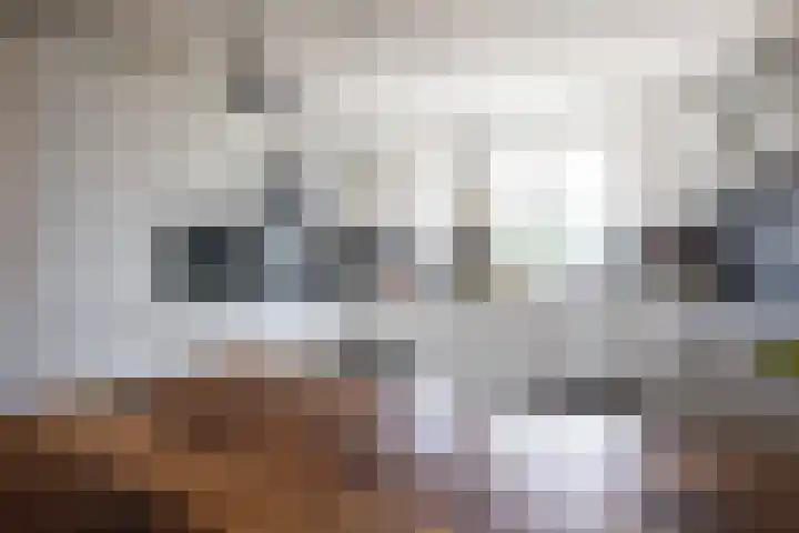 Pieter van Lisselaan 13 Aalsmeer thumbnail 13