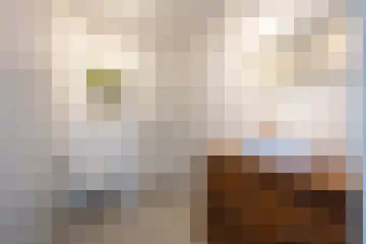 Pieter van Lisselaan 13 Aalsmeer thumbnail 25