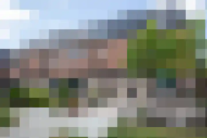 Pieter van Lisselaan 13 Aalsmeer thumbnail 28