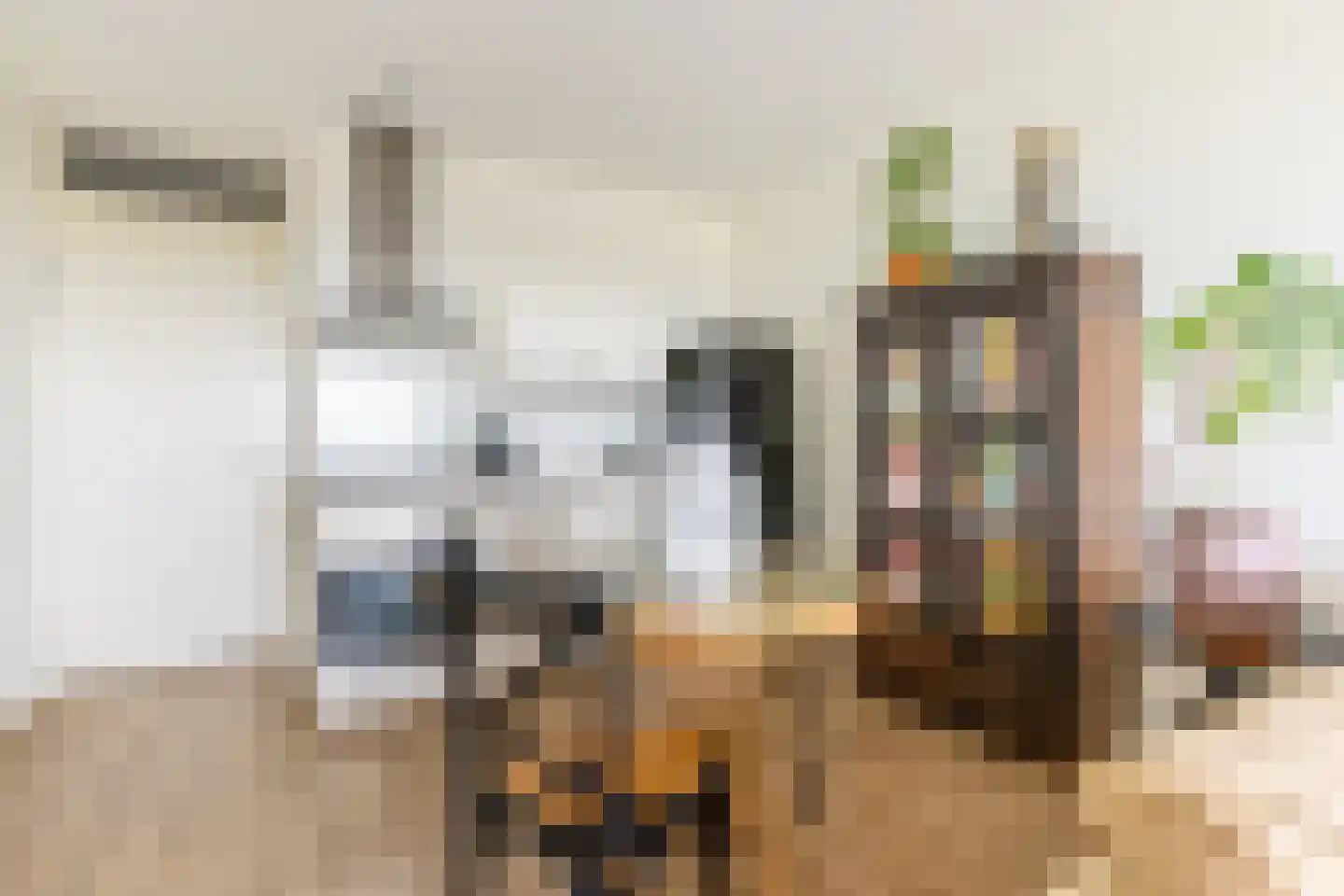 Pieter van Musschenbroekstraat 107 Haarlem thumbnail 13
