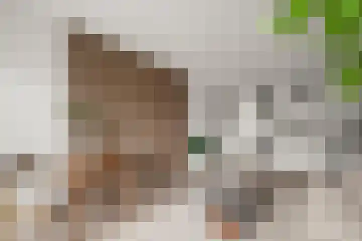 Pieter van Musschenbroekstraat 143 Haarlem thumbnail 5