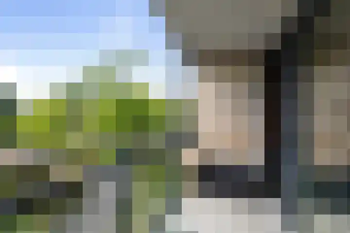 Pieter van Musschenbroekstraat 19 Haarlem thumbnail 14
