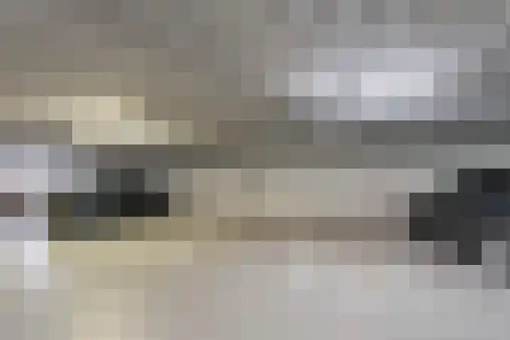 Pieter van Musschenbroekstraat 19 Haarlem thumbnail 33