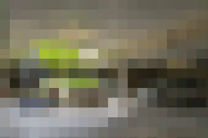 Pieter van Musschenbroekstraat 19 Haarlem thumbnail 34