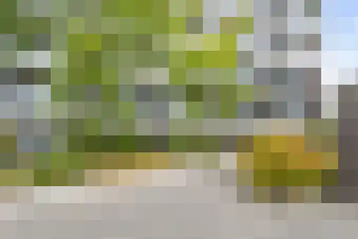 Pieter van Musschenbroekstraat 19 Haarlem thumbnail 5