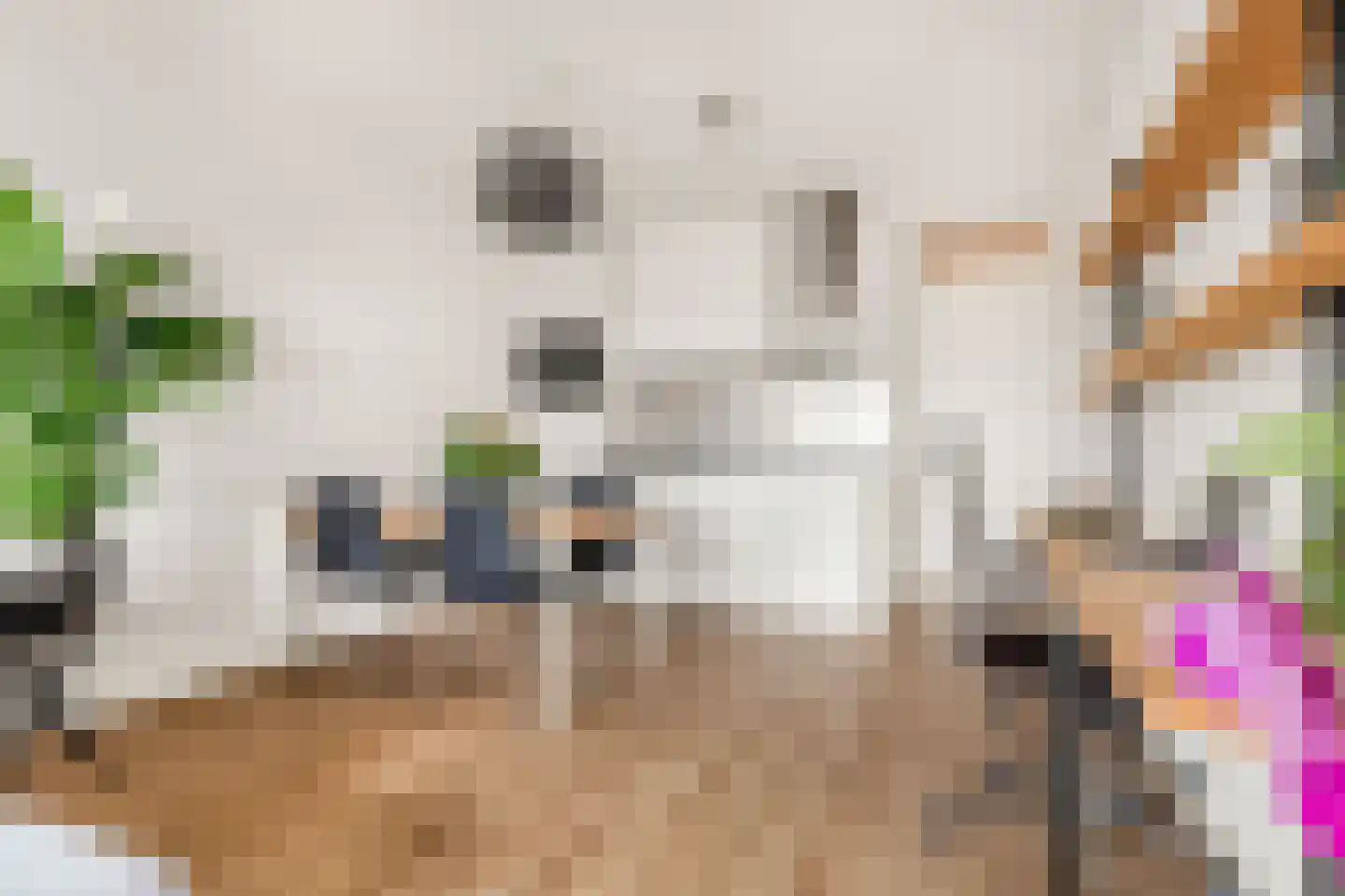 Pieter van Musschenbroekstraat 201 Haarlem thumbnail 11