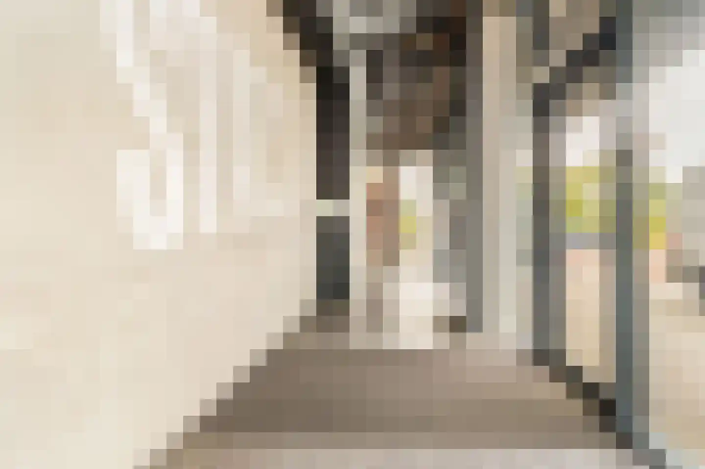 Pieter van Musschenbroekstraat 201 Haarlem thumbnail 22