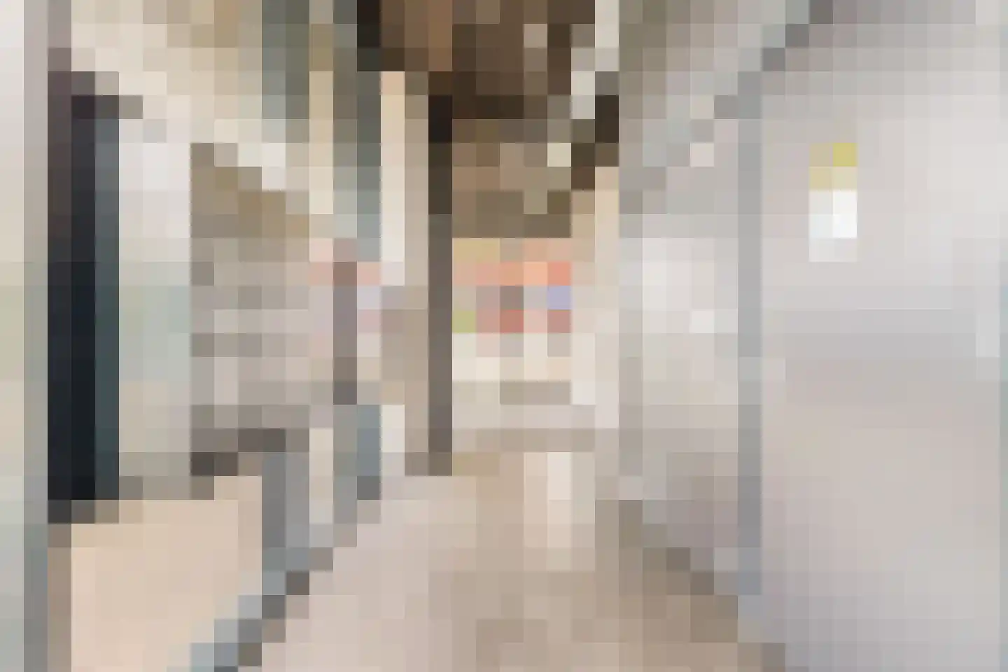 Pieter van Musschenbroekstraat 201 Haarlem thumbnail 23
