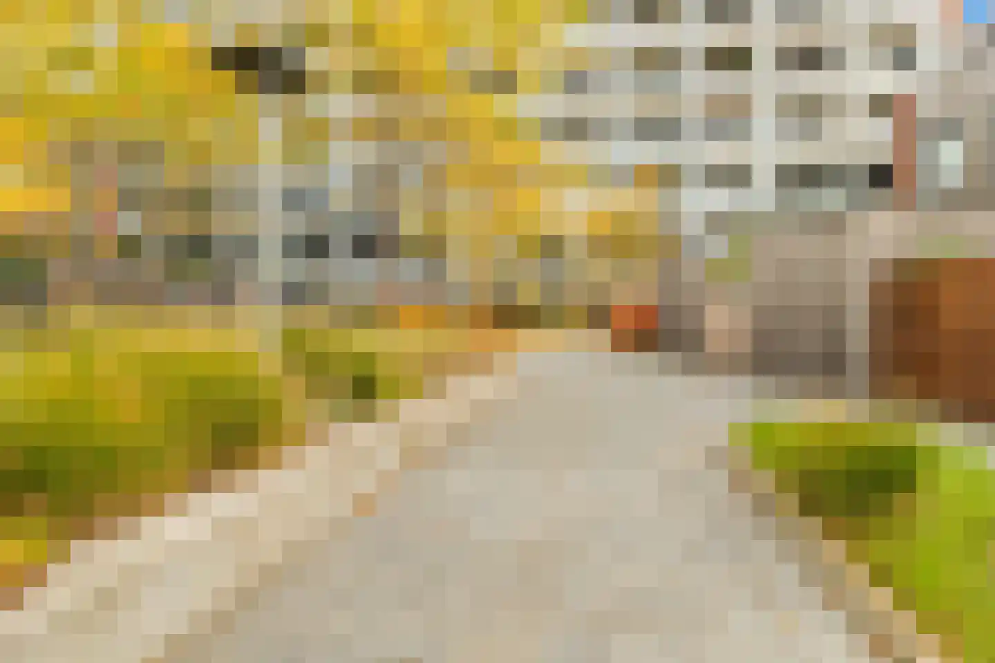 Pieter van Musschenbroekstraat 201 Haarlem thumbnail 26