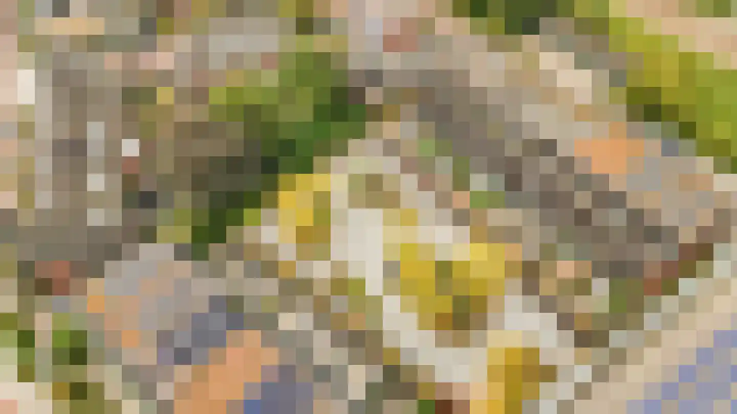 Pieter van Musschenbroekstraat 201 Haarlem thumbnail 27