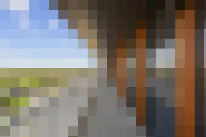 Pieter van Musschenbroekstraat 217 Haarlem thumbnail 28