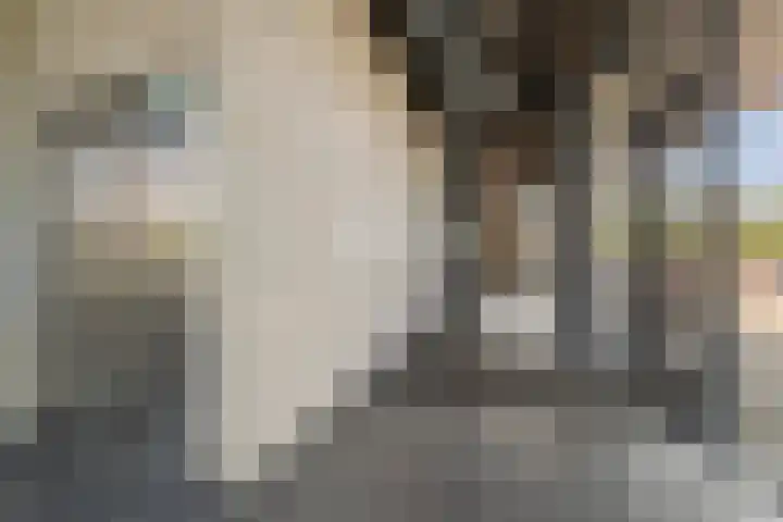 Pieter van Musschenbroekstraat 217 Haarlem thumbnail 29