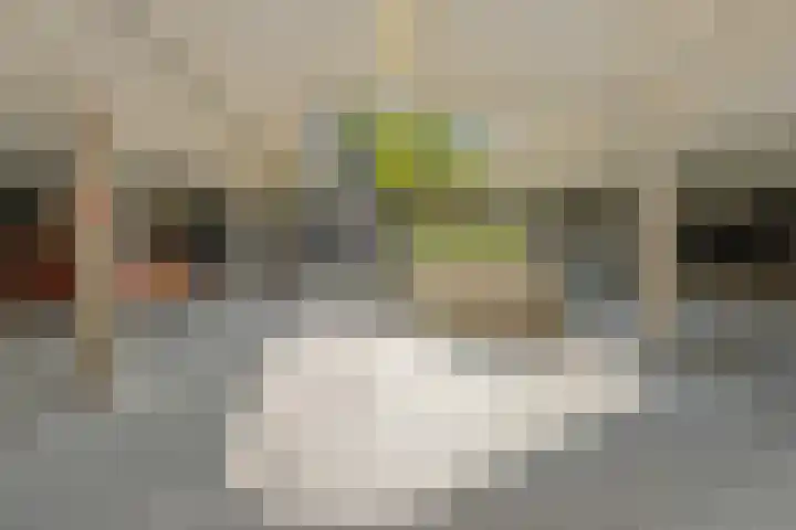 Pieter van Musschenbroekstraat 217 Haarlem thumbnail 32