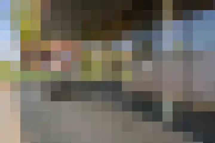 Pieter van Musschenbroekstraat 217 Haarlem thumbnail 35