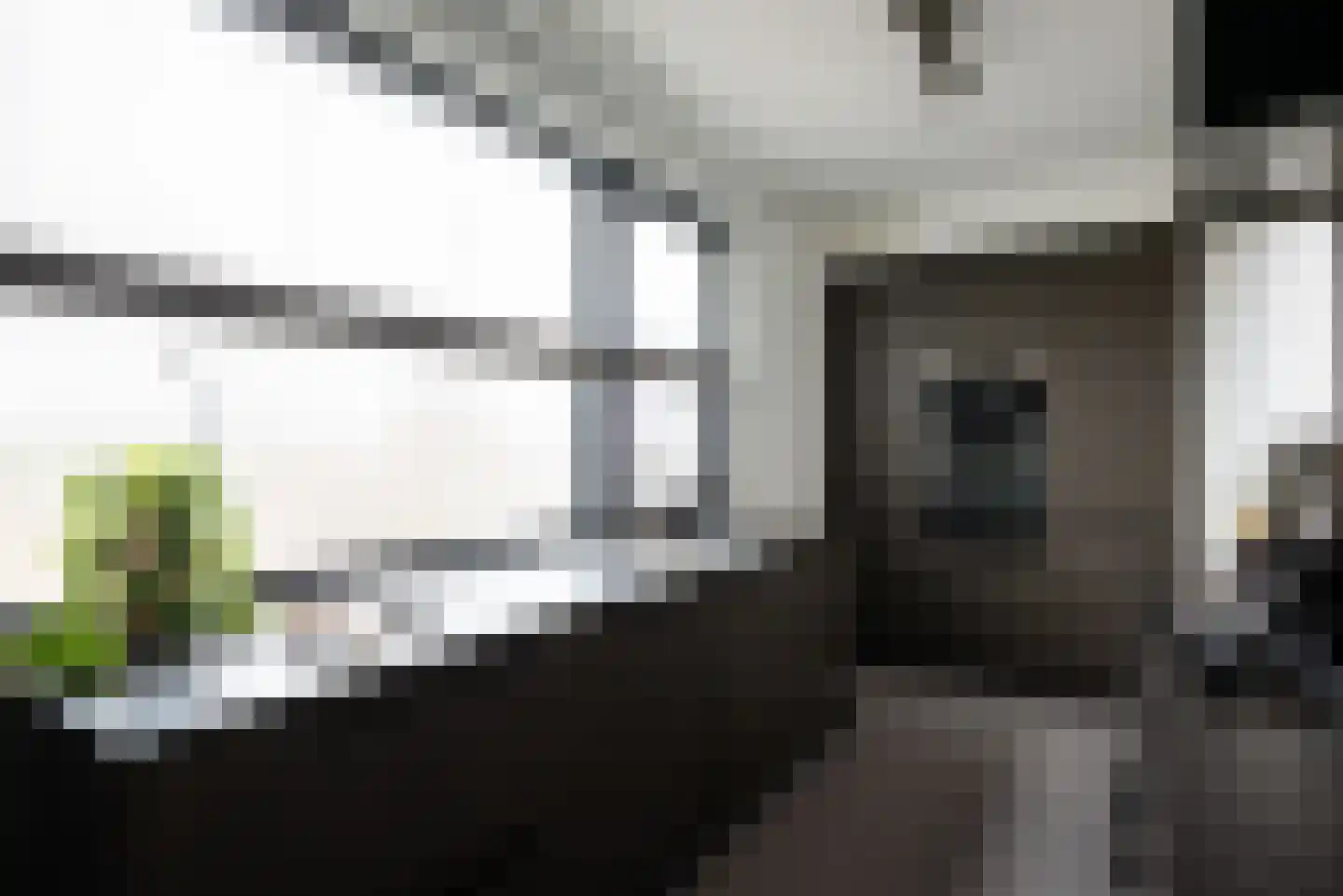 Pieter van Musschenbroekstraat 221 Haarlem thumbnail 12