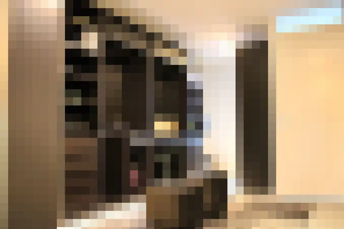 Pieter van Musschenbroekstraat 221 Haarlem thumbnail 18