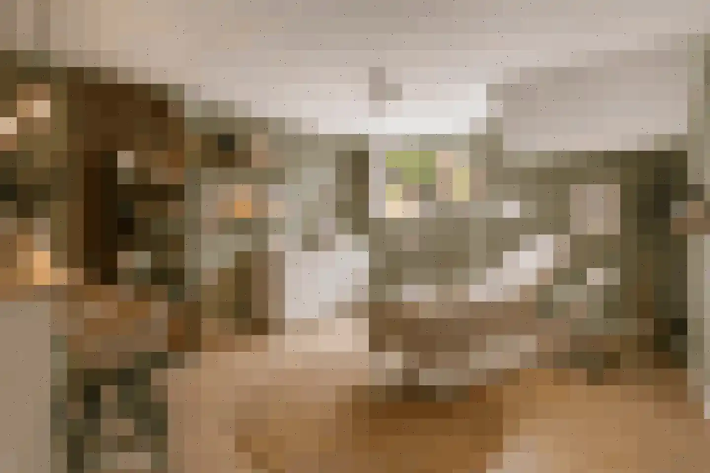Pieter van Musschenbroekstraat 221 Haarlem thumbnail 29