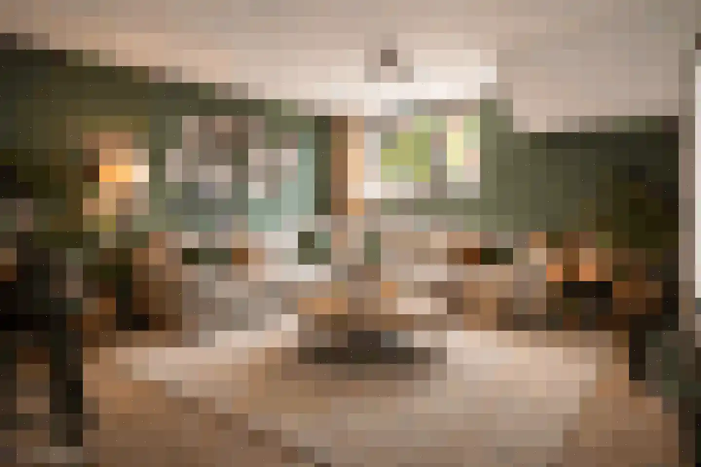 Pieter van Musschenbroekstraat 221 Haarlem thumbnail 29