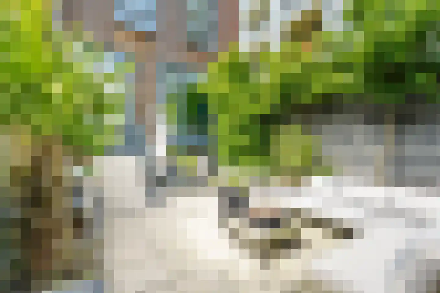 Pieter van Musschenbroekstraat 221 Haarlem thumbnail 31