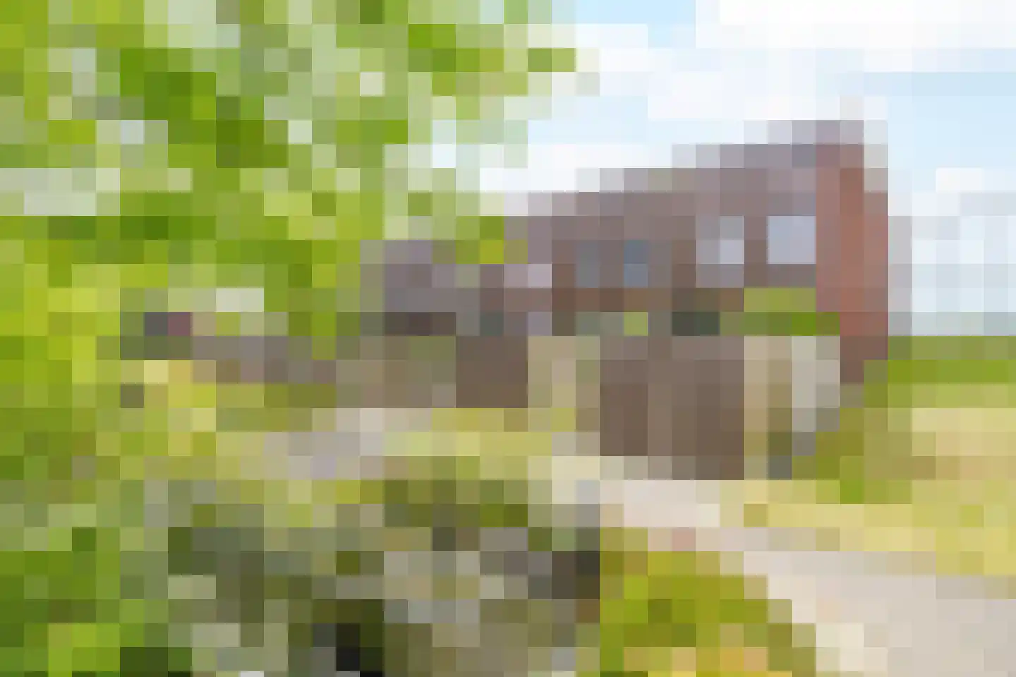 Pieter van Musschenbroekstraat 221 Haarlem thumbnail 32