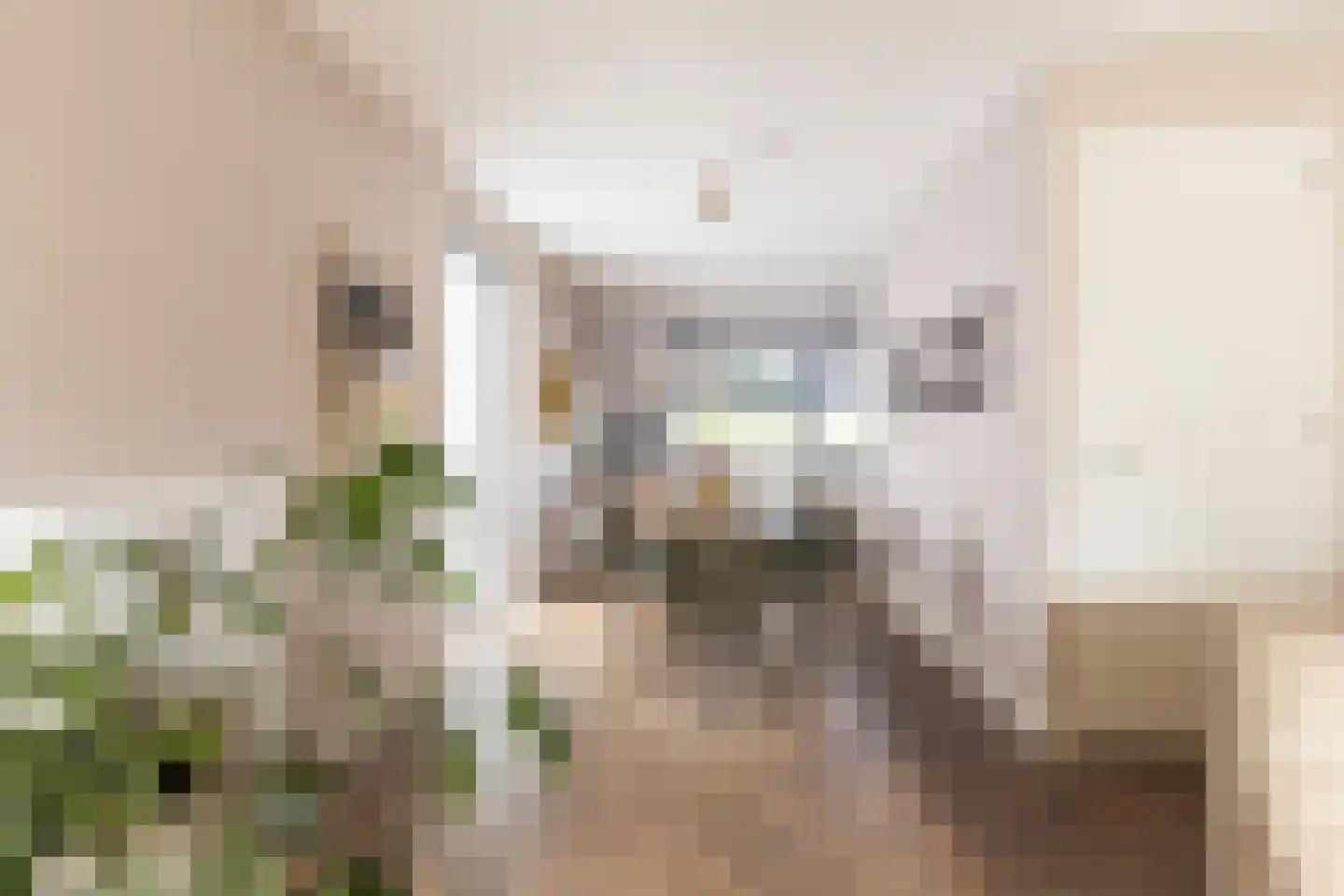 Pieter van Musschenbroekstraat 235 Haarlem thumbnail 18