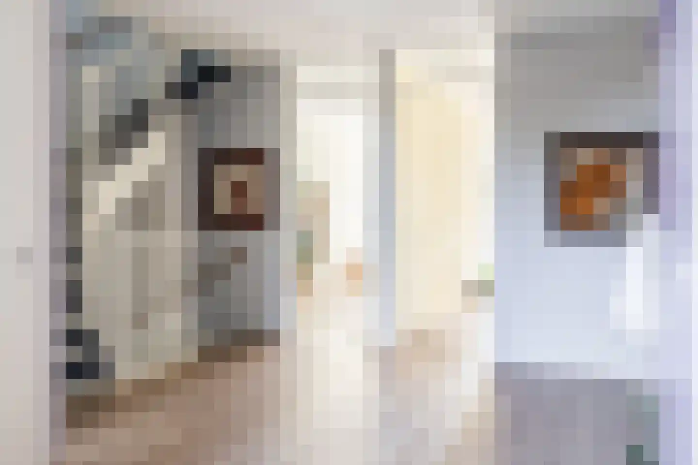 Pieter van Musschenbroekstraat 235 Haarlem thumbnail 26