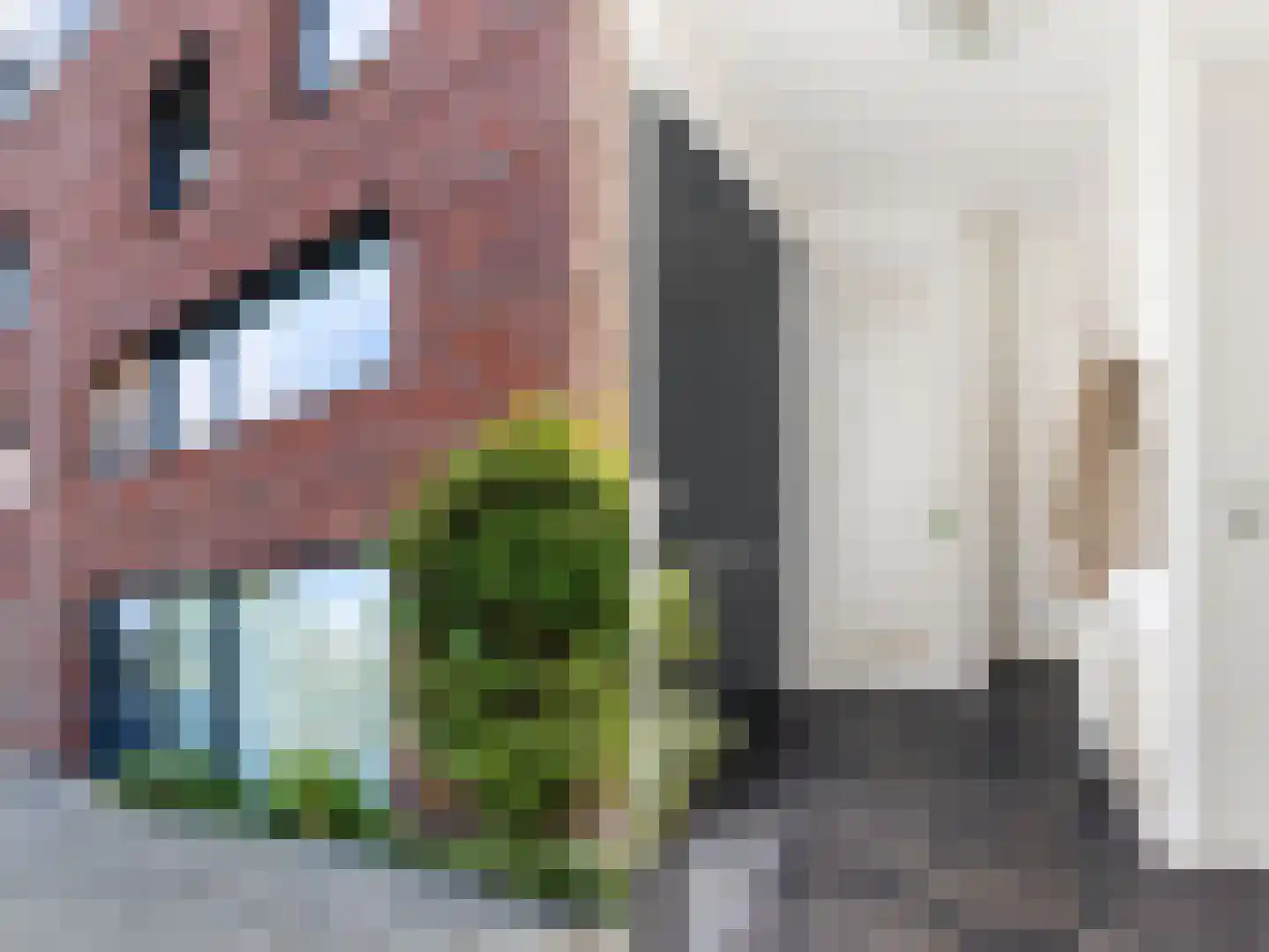 Pieter van Musschenbroekstraat 235 Haarlem thumbnail 6