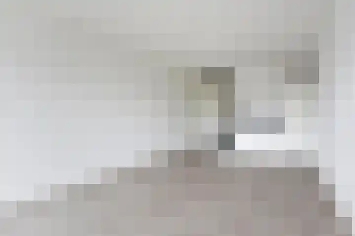 Pieter van Musschenbroekstraat 27 Haarlem thumbnail 4