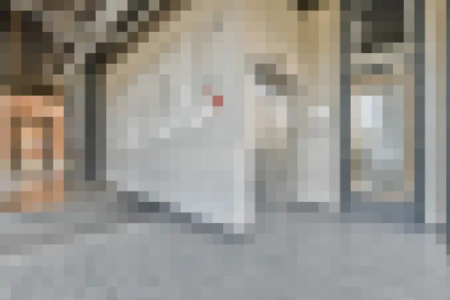 Pieter van Musschenbroekstraat 31 Haarlem thumbnail 16