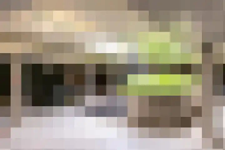 Pieter van Musschenbroekstraat 49 Haarlem thumbnail 12