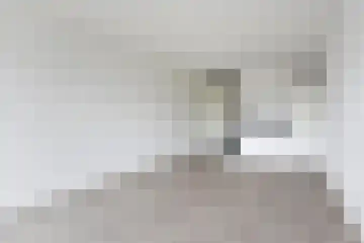 Pieter van Musschenbroekstraat 49 Haarlem thumbnail 4