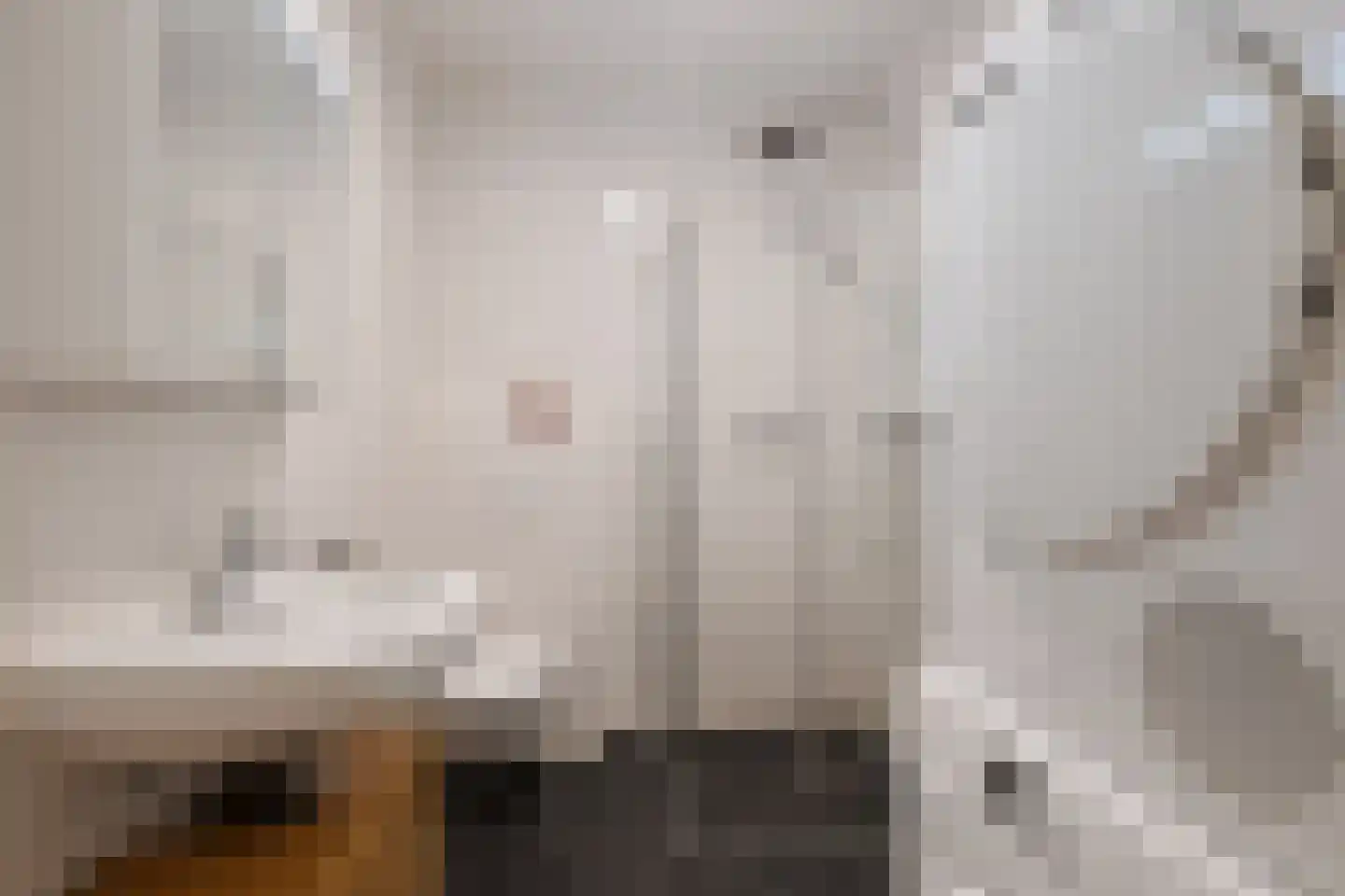 Pieter van Musschenbroekstraat 51 Haarlem thumbnail 12