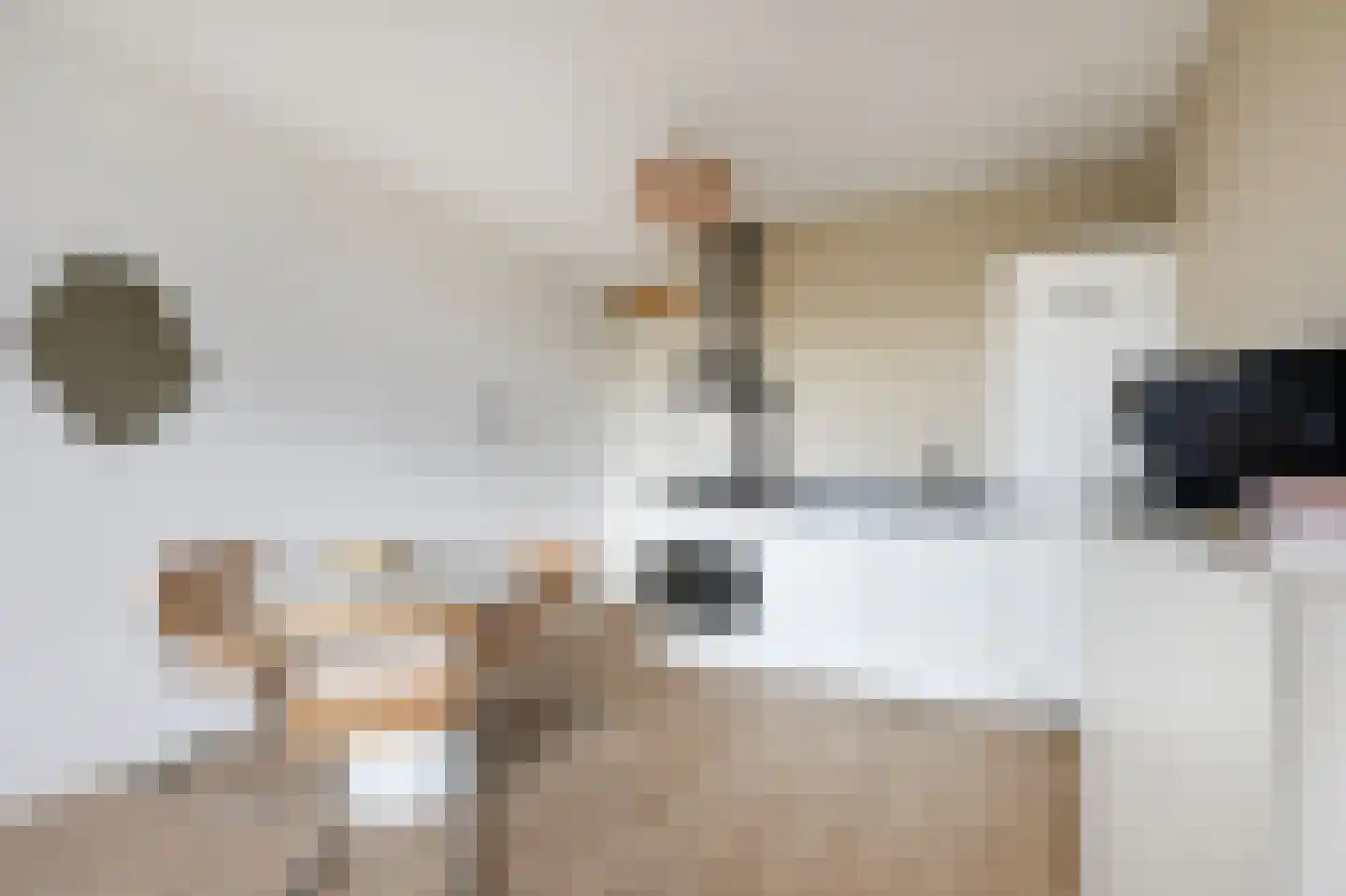 Pieter van Musschenbroekstraat 51 Haarlem thumbnail 4