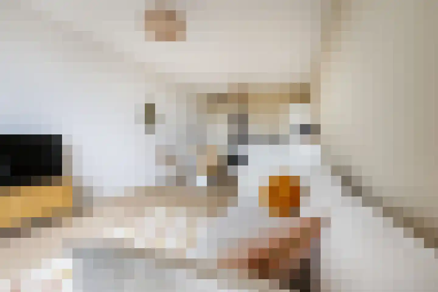 Pieter van Musschenbroekstraat 51 Haarlem thumbnail 9