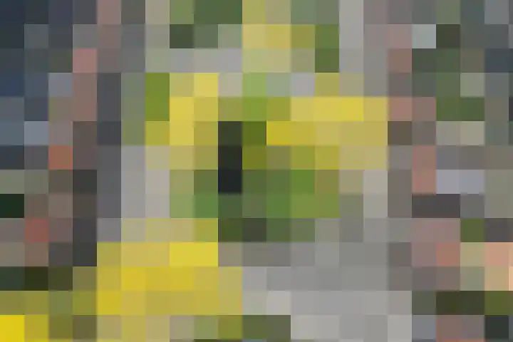 Pieter van Musschenbroekstraat 97 Haarlem thumbnail 16
