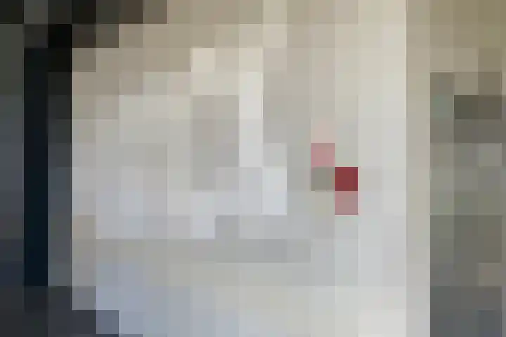 Pieter van Musschenbroekstraat 97 Haarlem thumbnail 21