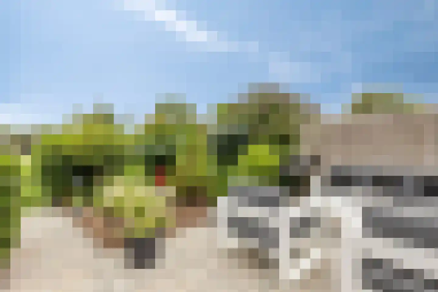 Pieter van Oldenborghlaan 17 Willemstad thumbnail 24
