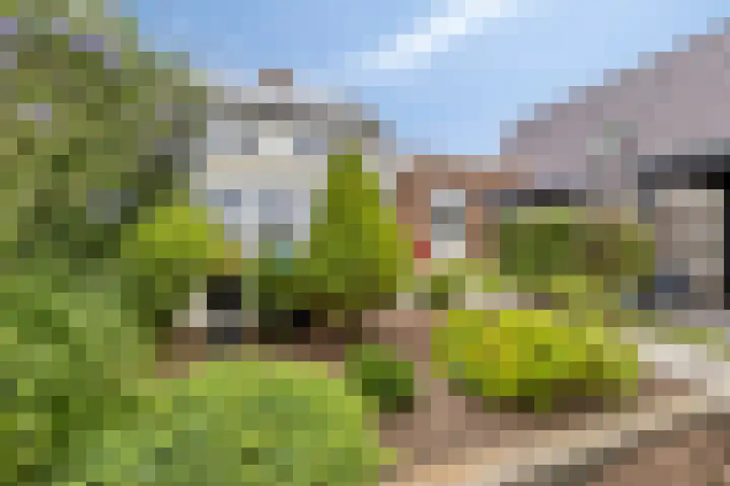 Pieter van Oldenborghlaan 17 Willemstad thumbnail 26