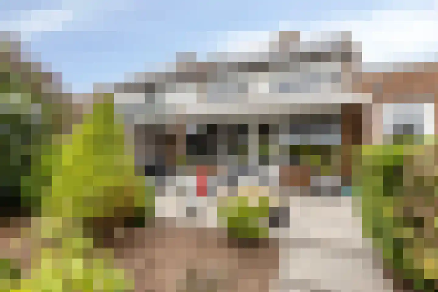 Pieter van Oldenborghlaan 17 Willemstad thumbnail 28