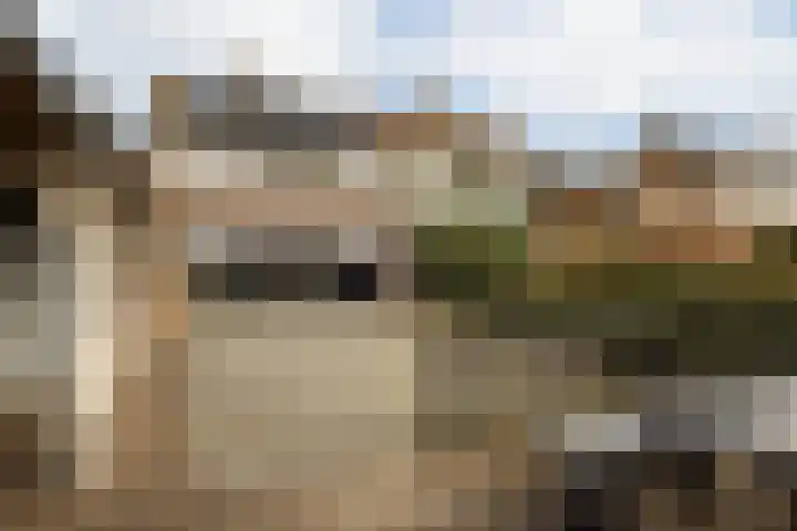 Pieter van Oldenborghlaan 23 Willemstad thumbnail 25