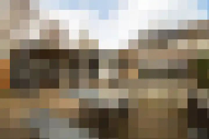 Pieter van Oldenborghlaan 23 Willemstad thumbnail 26