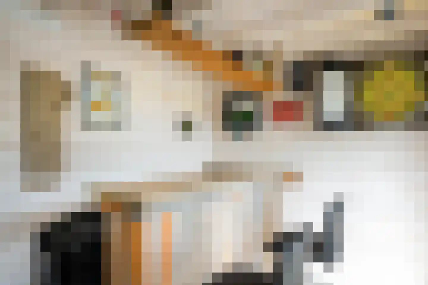 Pieter van Oldenborghlaan 23 Willemstad thumbnail 32