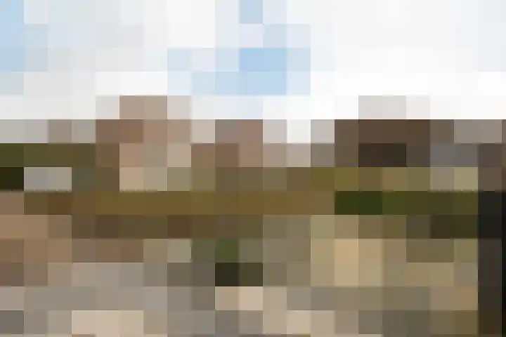 Pieter van Oldenborghlaan 23 Willemstad thumbnail 35