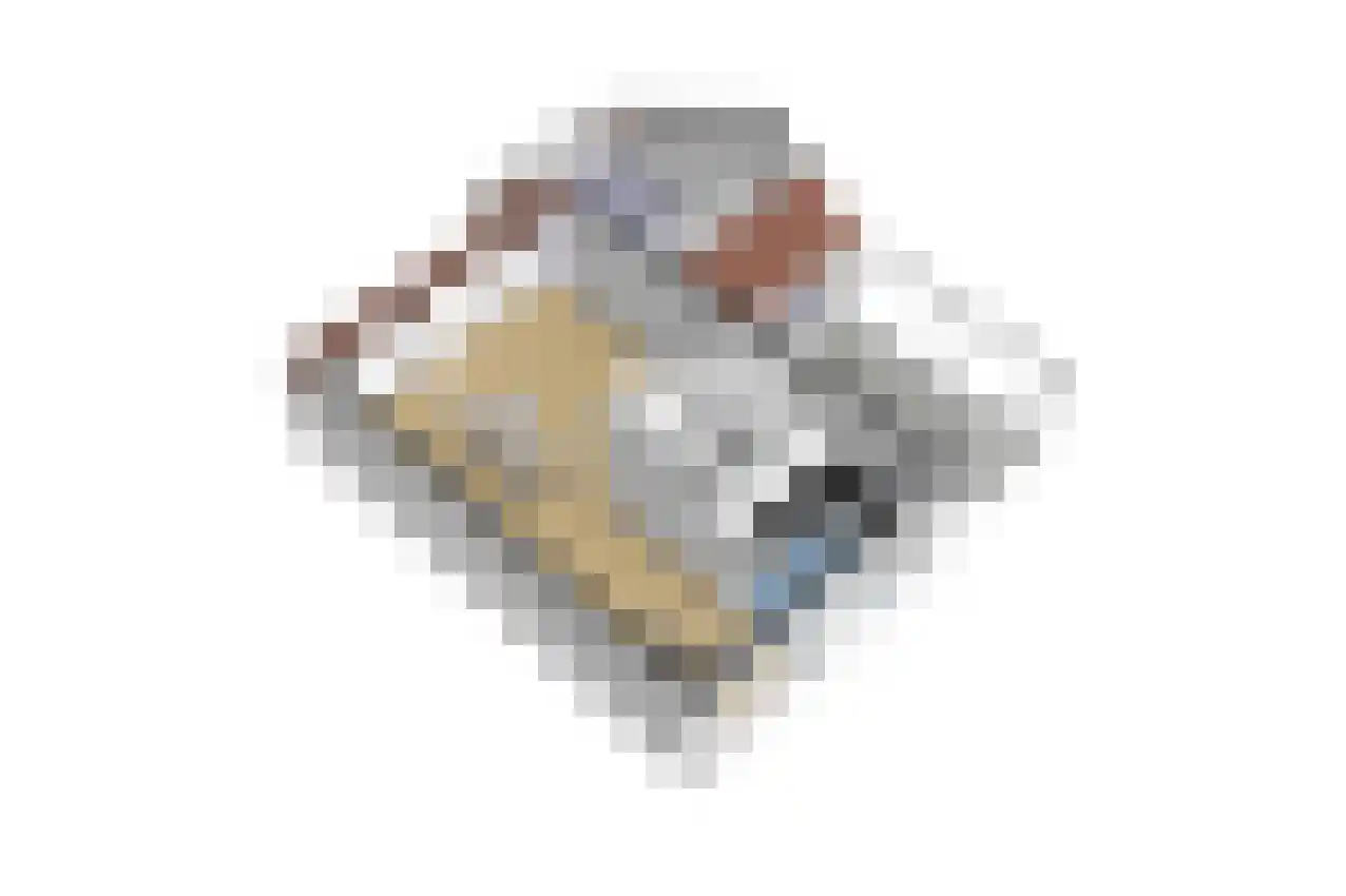 Pieter van Oldenborghlaan 23 Willemstad thumbnail 41