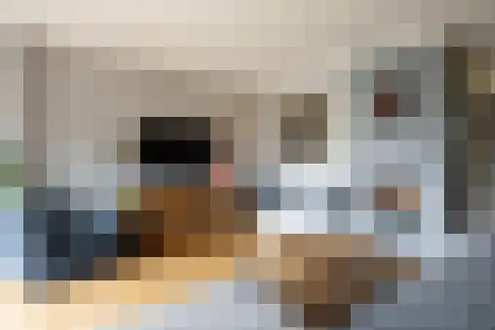 Pieter van Oldenborghlaan 23 Willemstad thumbnail 5