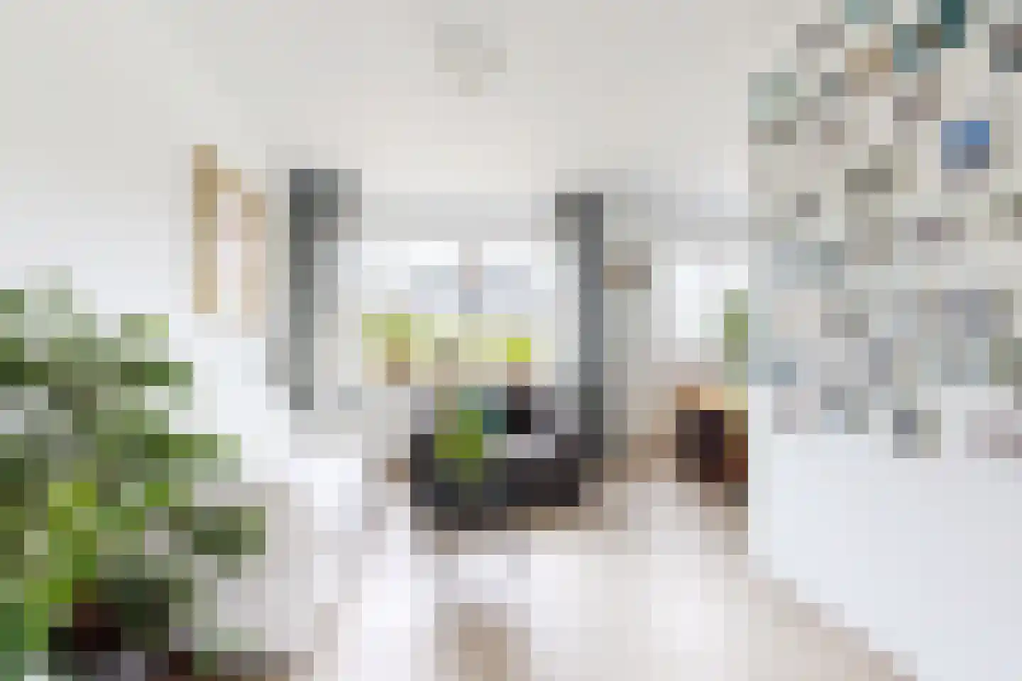 Pieter van Oldenborghlaan 7 Willemstad thumbnail 10