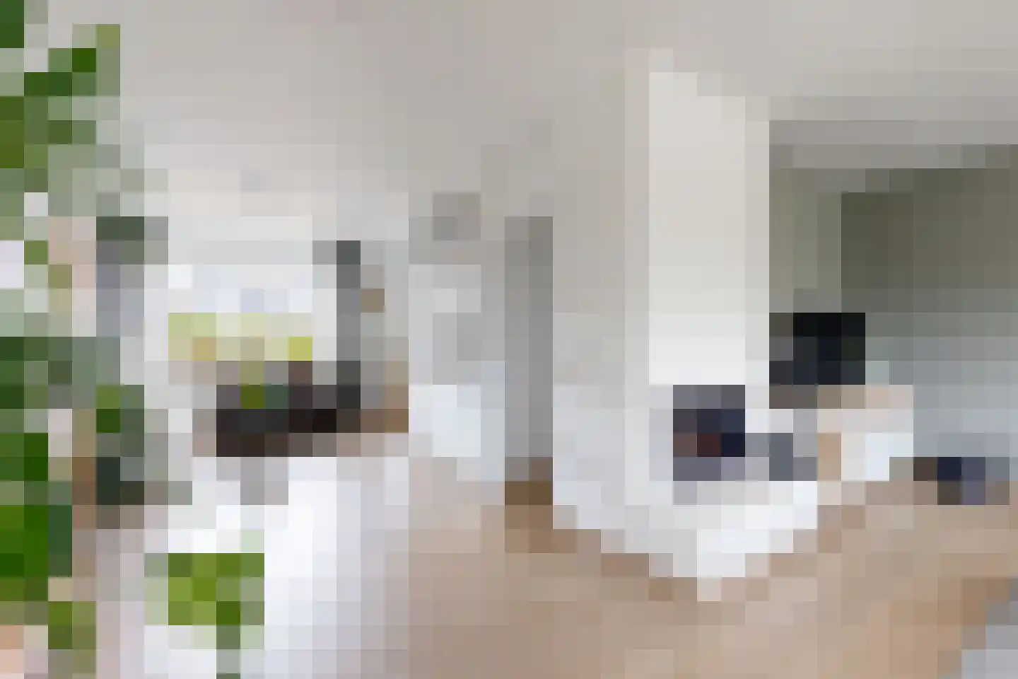Pieter van Oldenborghlaan 7 Willemstad thumbnail 15