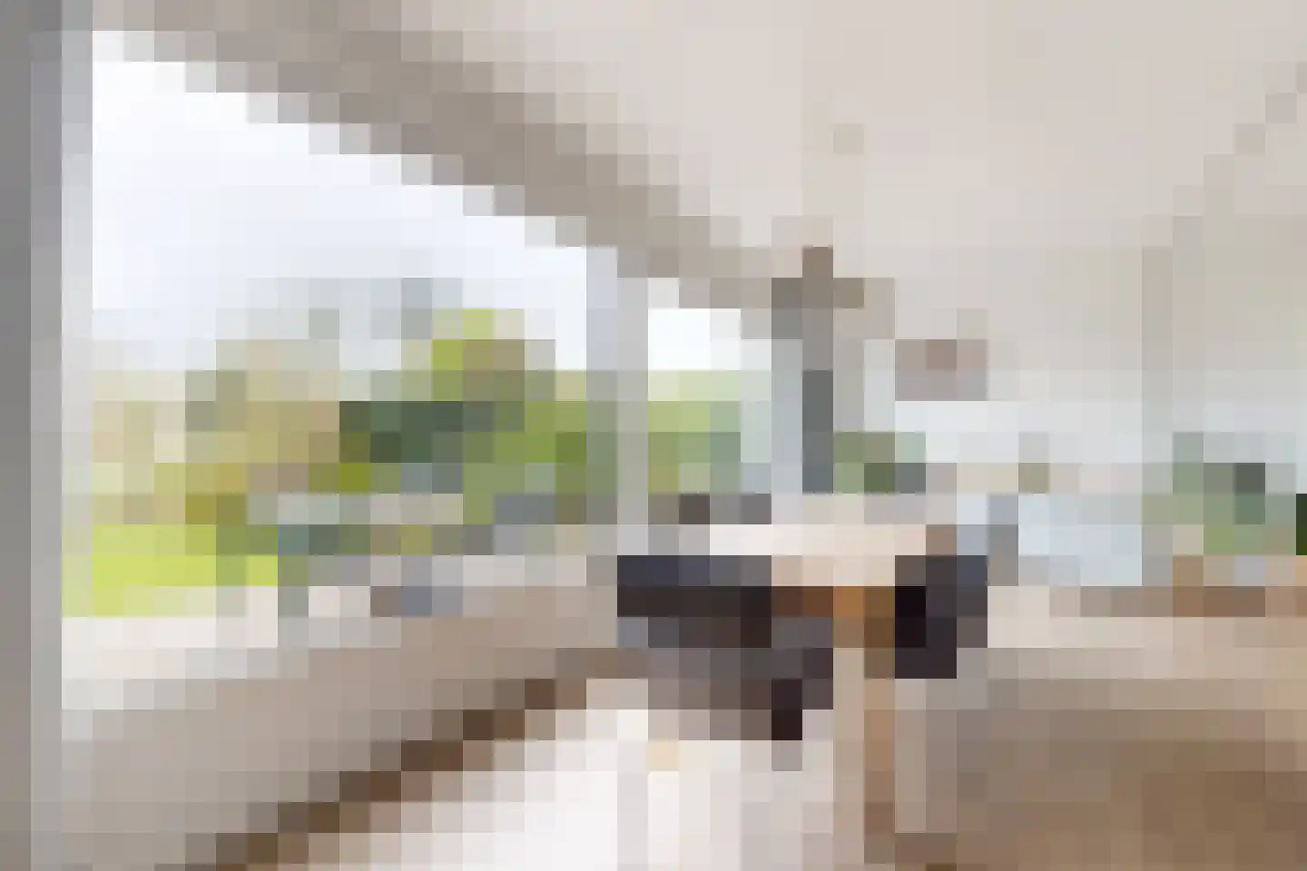 Pieter van Oldenborghlaan 7 Willemstad thumbnail 24