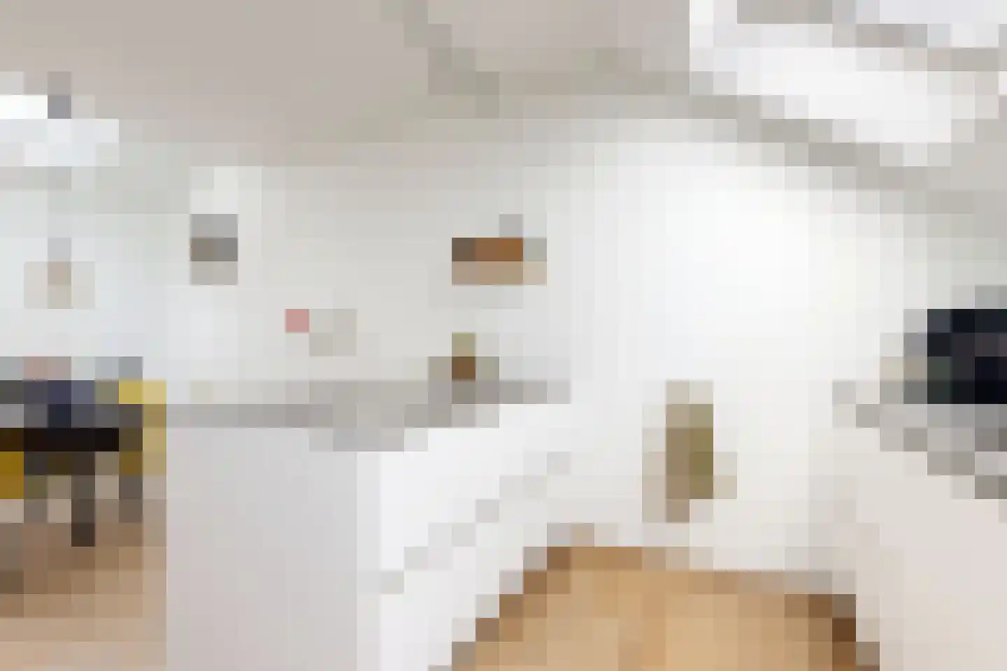 Pieter van Oldenborghlaan 7 Willemstad thumbnail 34