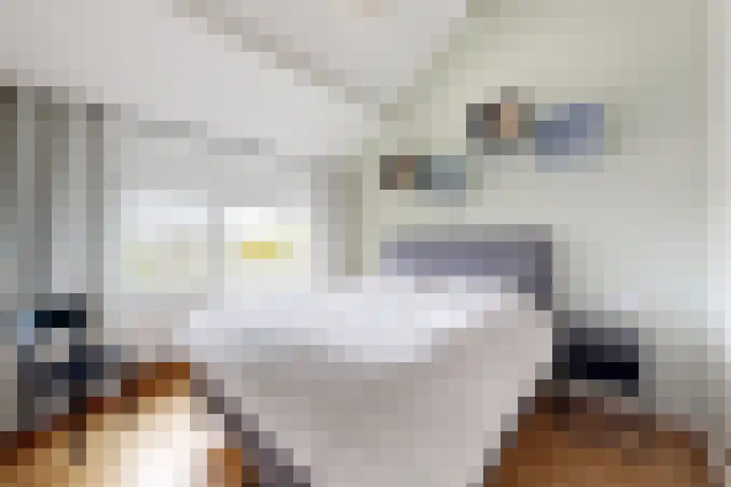 Pieter van Oldenborghlaan 7 Willemstad thumbnail 39